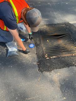 Outreach Intern Mason applies a medallion near the storm drain.