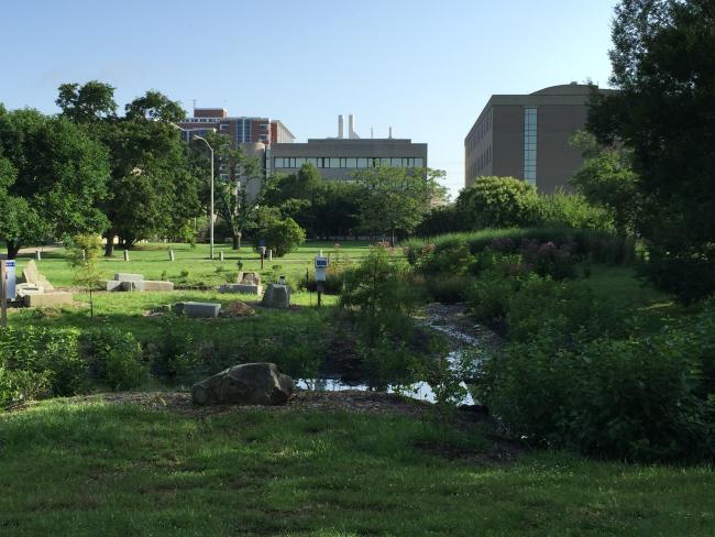 rain garden or bioretention best management practice
