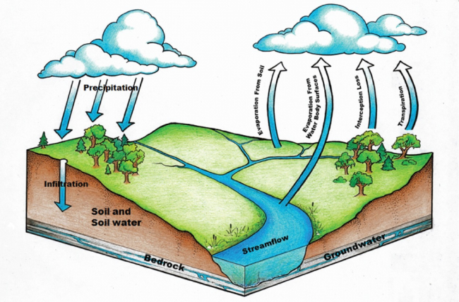 Diagram of a watershed and the water cycle